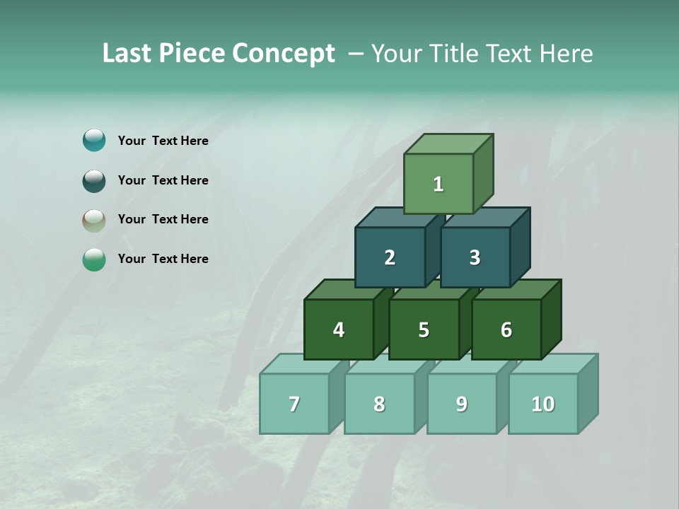 Brown Jersey Cow (10 Years Old) In Front Of A White Background PowerPoint Template