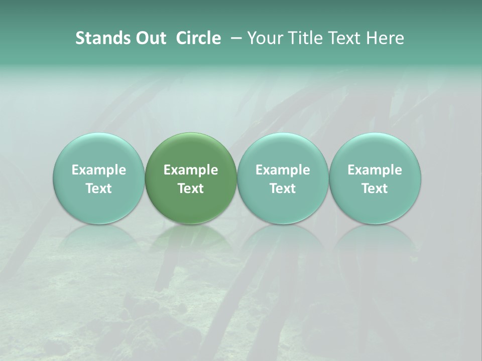 Brown Jersey Cow (10 Years Old) In Front Of A White Background PowerPoint Template