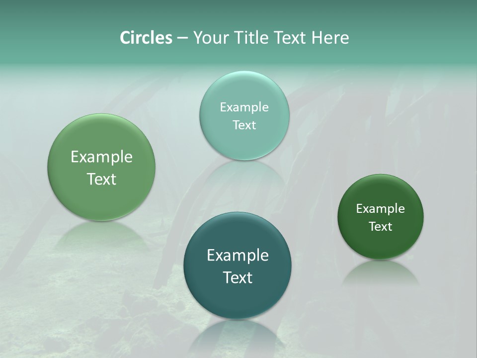 Brown Jersey Cow (10 Years Old) In Front Of A White Background PowerPoint Template