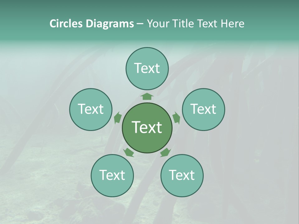 Brown Jersey Cow (10 Years Old) In Front Of A White Background PowerPoint Template