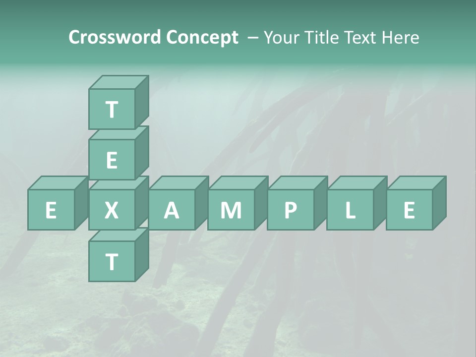 Brown Jersey Cow (10 Years Old) In Front Of A White Background PowerPoint Template