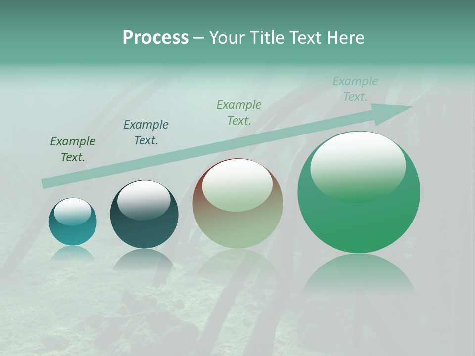 Brown Jersey Cow (10 Years Old) In Front Of A White Background PowerPoint Template