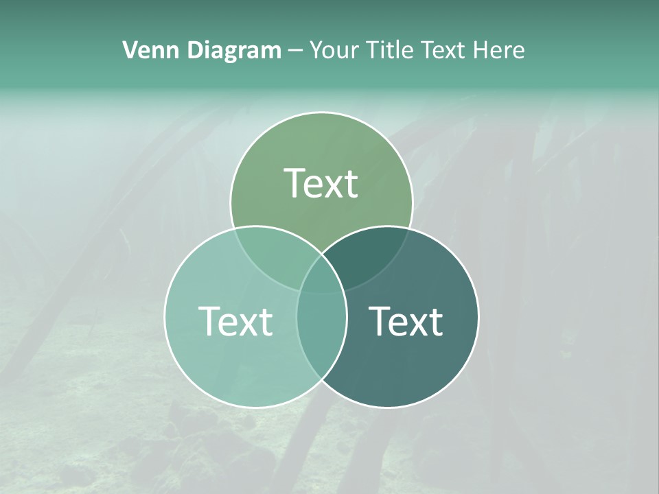 Brown Jersey Cow (10 Years Old) In Front Of A White Background PowerPoint Template