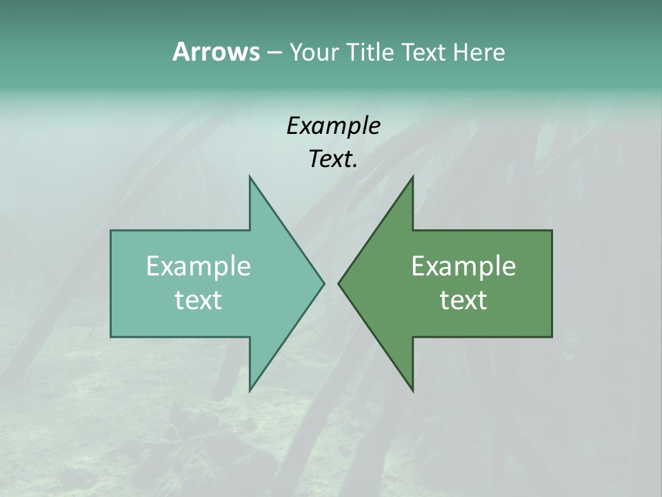 Brown Jersey Cow (10 Years Old) In Front Of A White Background PowerPoint Template