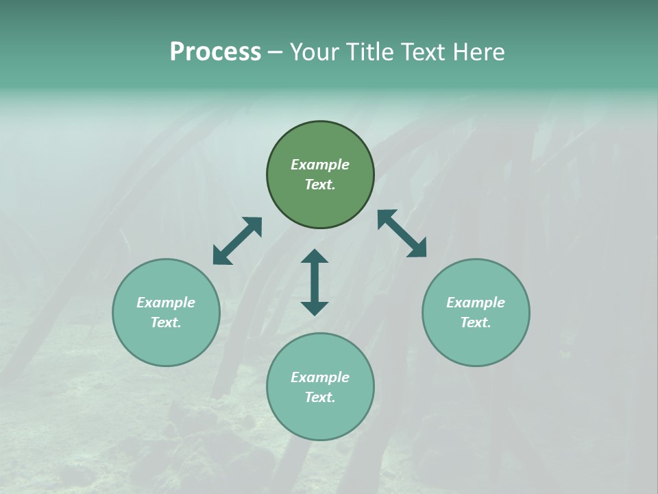 Brown Jersey Cow (10 Years Old) In Front Of A White Background PowerPoint Template