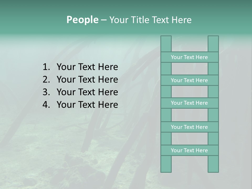 Brown Jersey Cow (10 Years Old) In Front Of A White Background PowerPoint Template