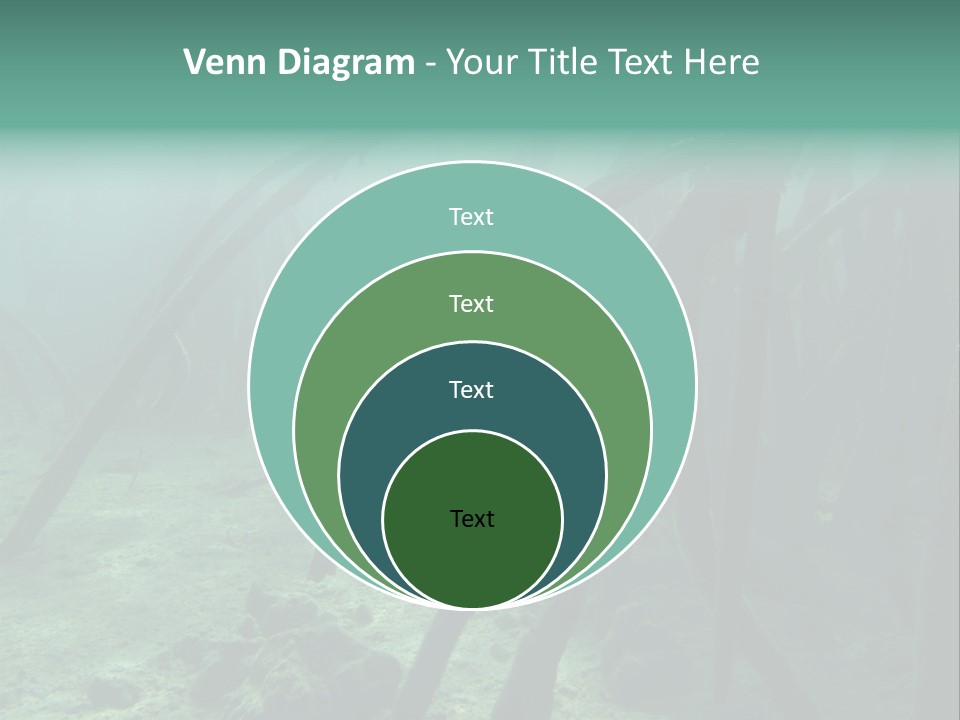 Brown Jersey Cow (10 Years Old) In Front Of A White Background PowerPoint Template