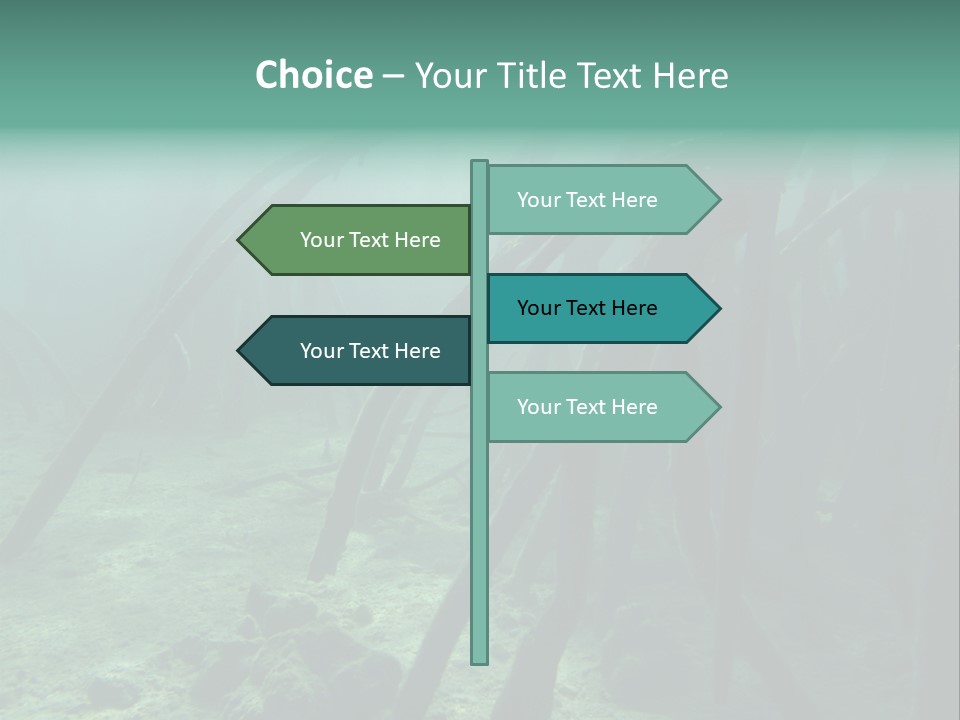 Brown Jersey Cow (10 Years Old) In Front Of A White Background PowerPoint Template