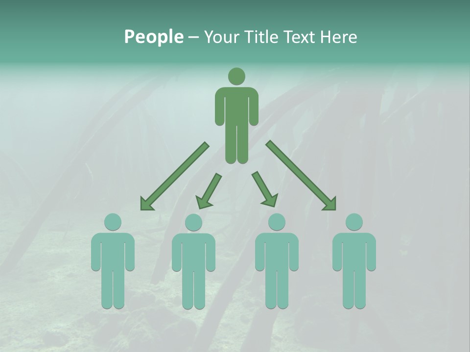 Brown Jersey Cow (10 Years Old) In Front Of A White Background PowerPoint Template