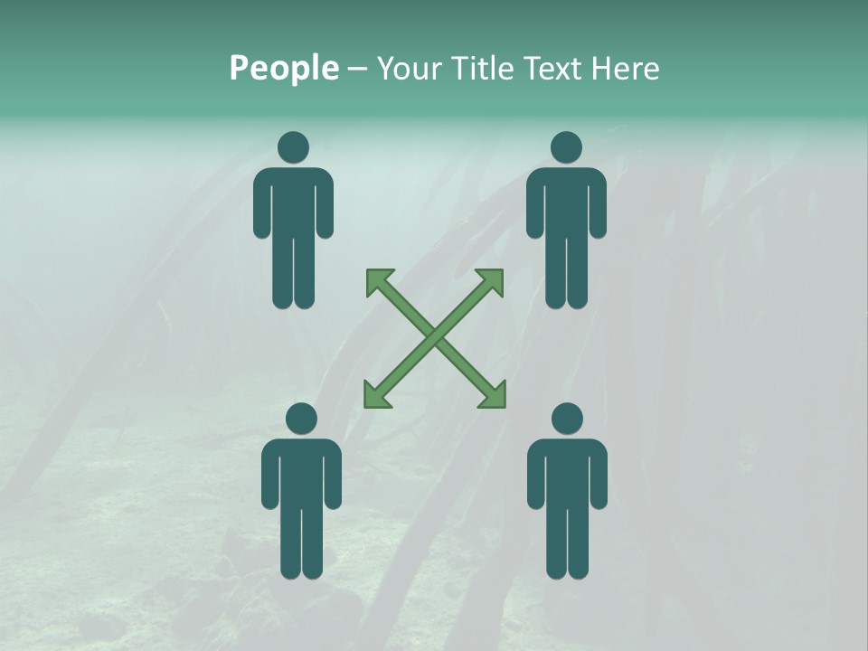 Brown Jersey Cow (10 Years Old) In Front Of A White Background PowerPoint Template