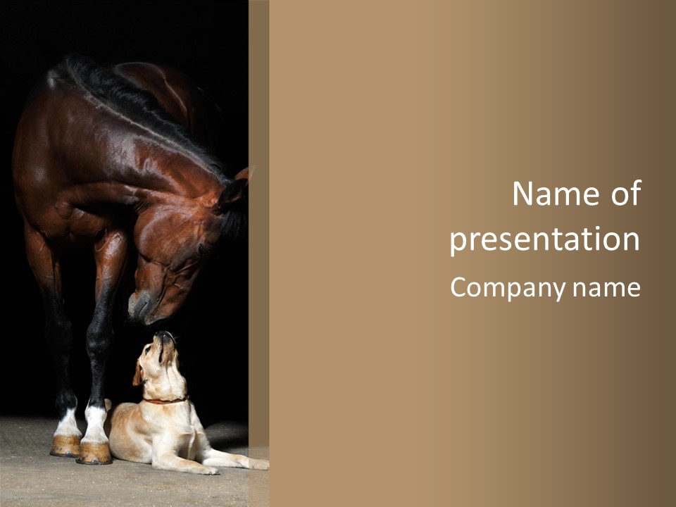 A Horse And A Dog Are In Front Of A Dark Background PowerPoint Template