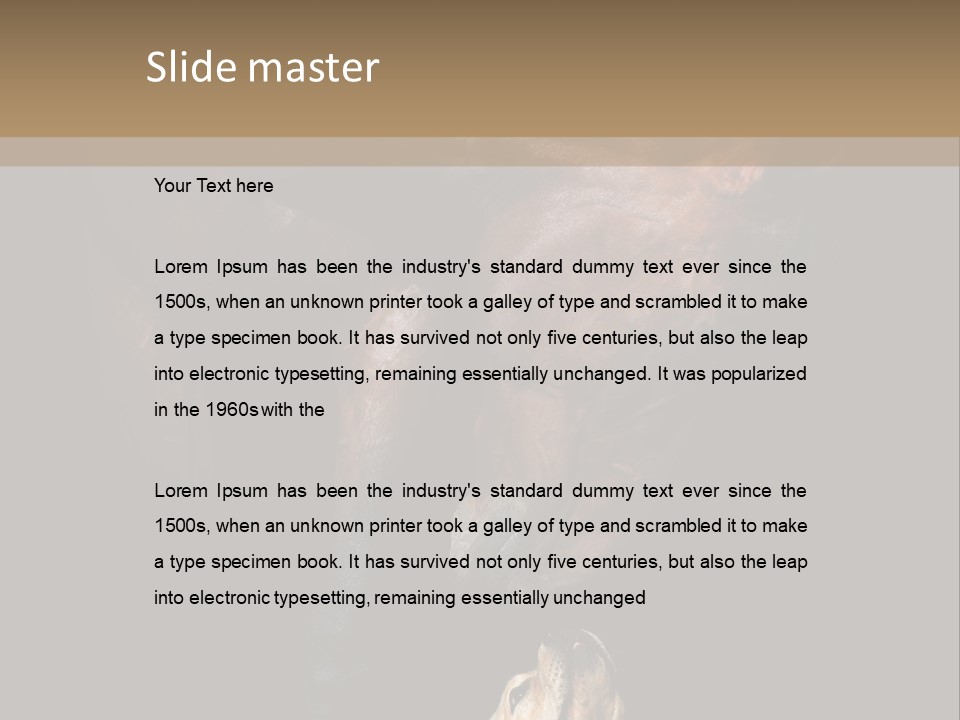 A Horse And A Dog Are In Front Of A Dark Background PowerPoint Template