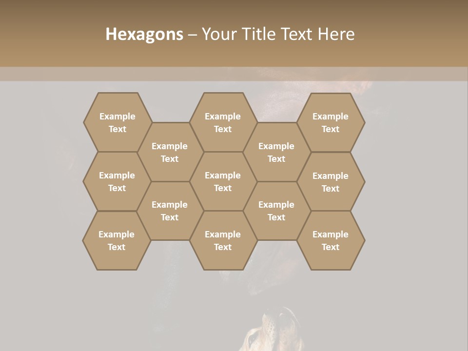 A Horse And A Dog Are In Front Of A Dark Background PowerPoint Template