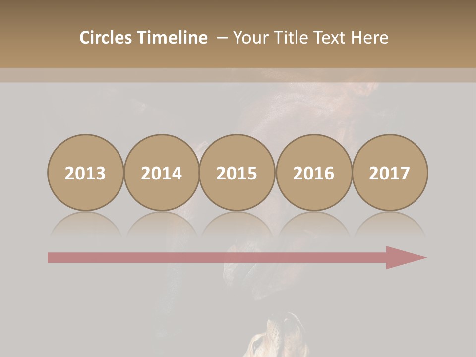 A Horse And A Dog Are In Front Of A Dark Background PowerPoint Template