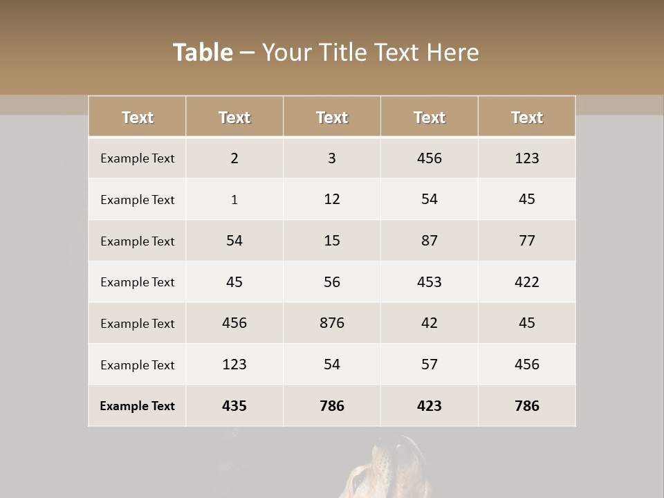 A Horse And A Dog Are In Front Of A Dark Background PowerPoint Template