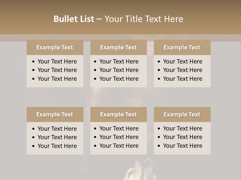 A Horse And A Dog Are In Front Of A Dark Background PowerPoint Template