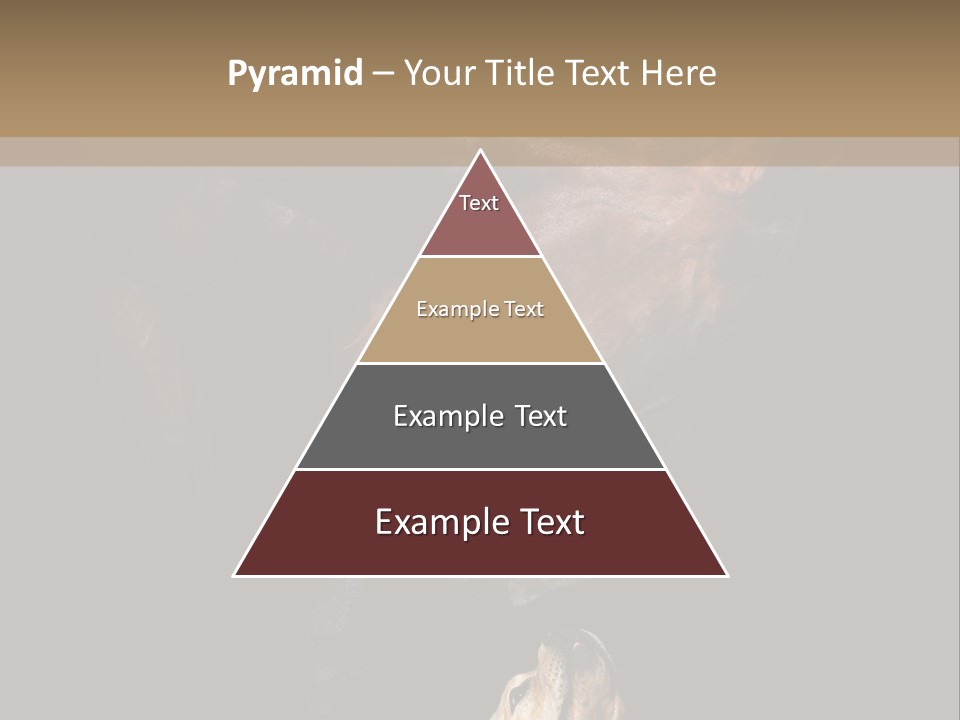 A Horse And A Dog Are In Front Of A Dark Background PowerPoint Template