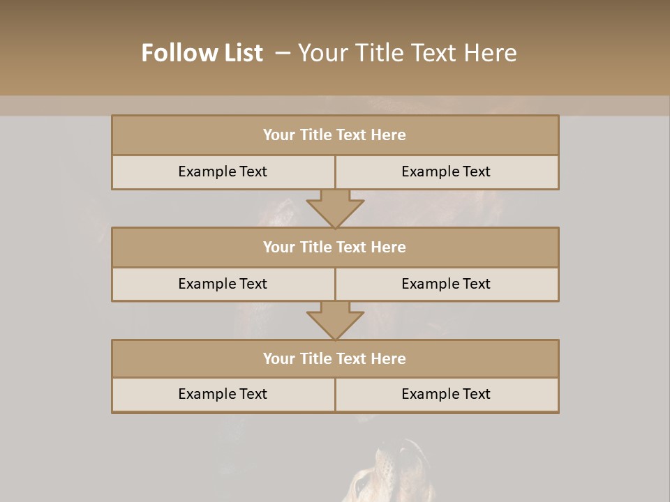 A Horse And A Dog Are In Front Of A Dark Background PowerPoint Template