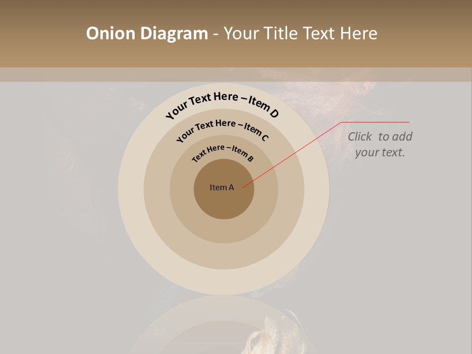 A Horse And A Dog Are In Front Of A Dark Background PowerPoint Template