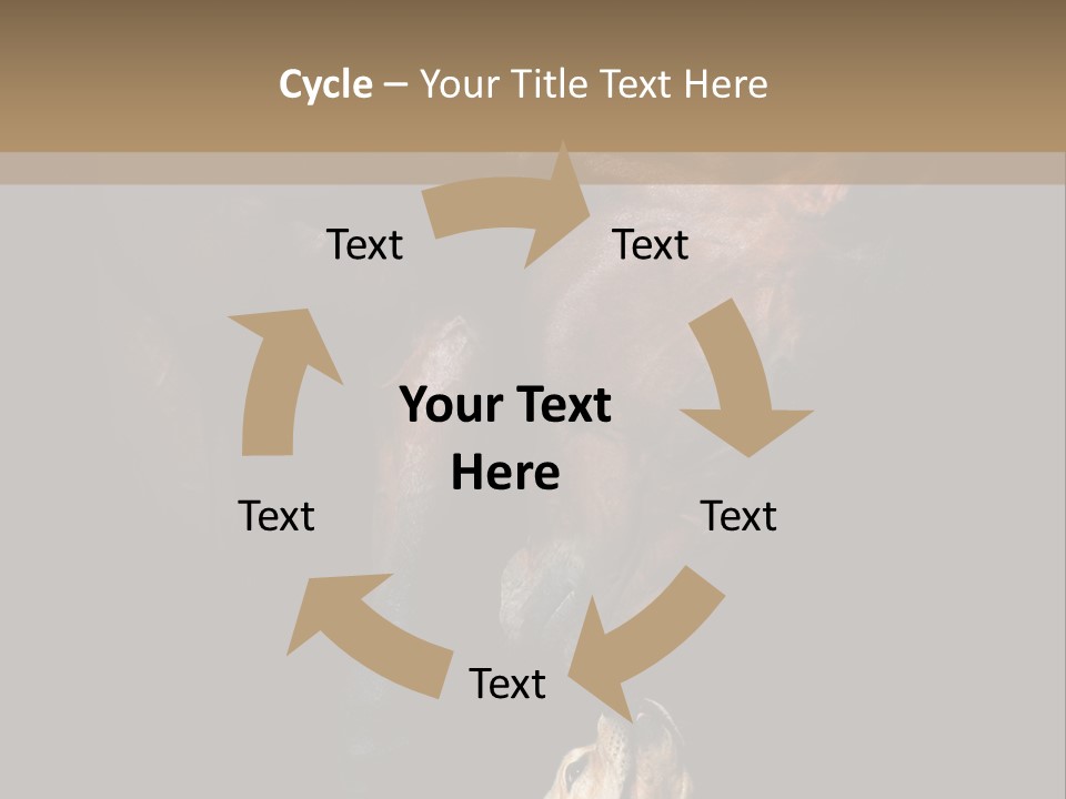 A Horse And A Dog Are In Front Of A Dark Background PowerPoint Template