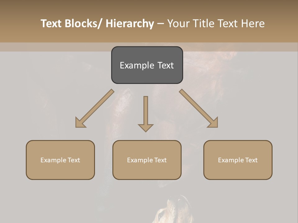 A Horse And A Dog Are In Front Of A Dark Background PowerPoint Template