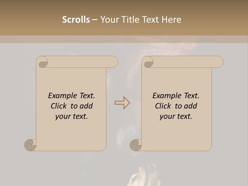 A Horse And A Dog Are In Front Of A Dark Background PowerPoint Template
