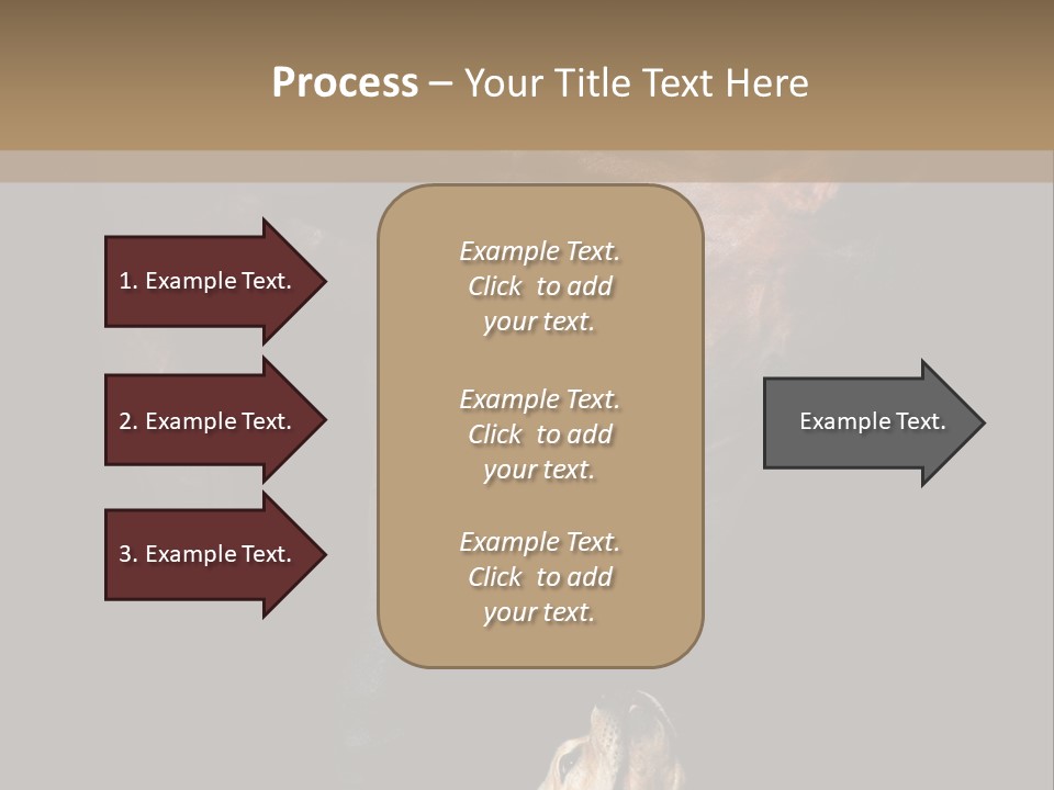 A Horse And A Dog Are In Front Of A Dark Background PowerPoint Template