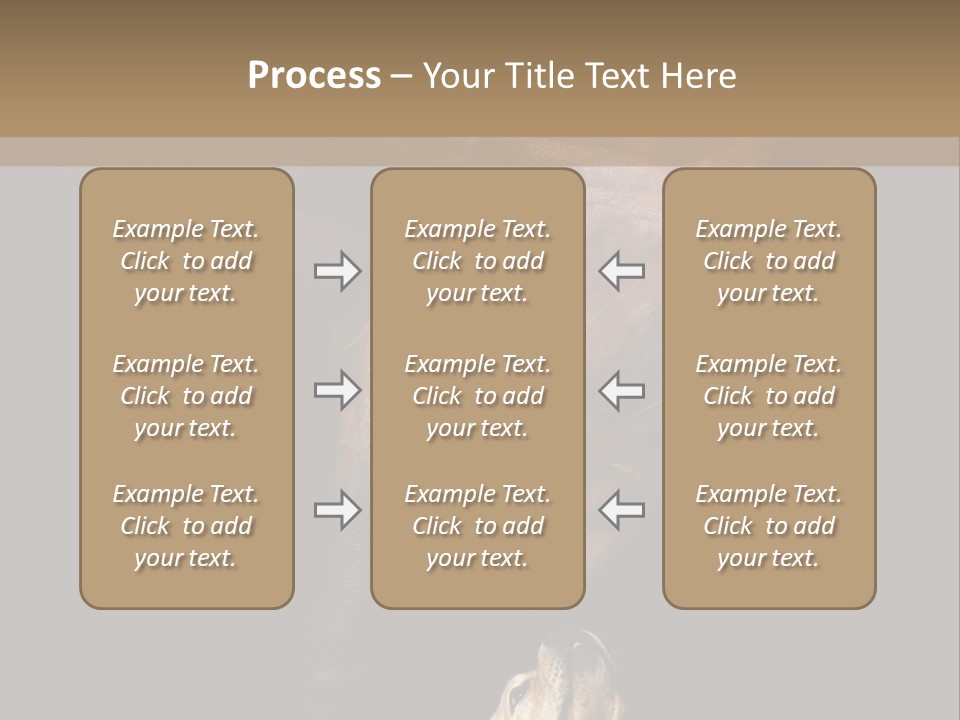 A Horse And A Dog Are In Front Of A Dark Background PowerPoint Template