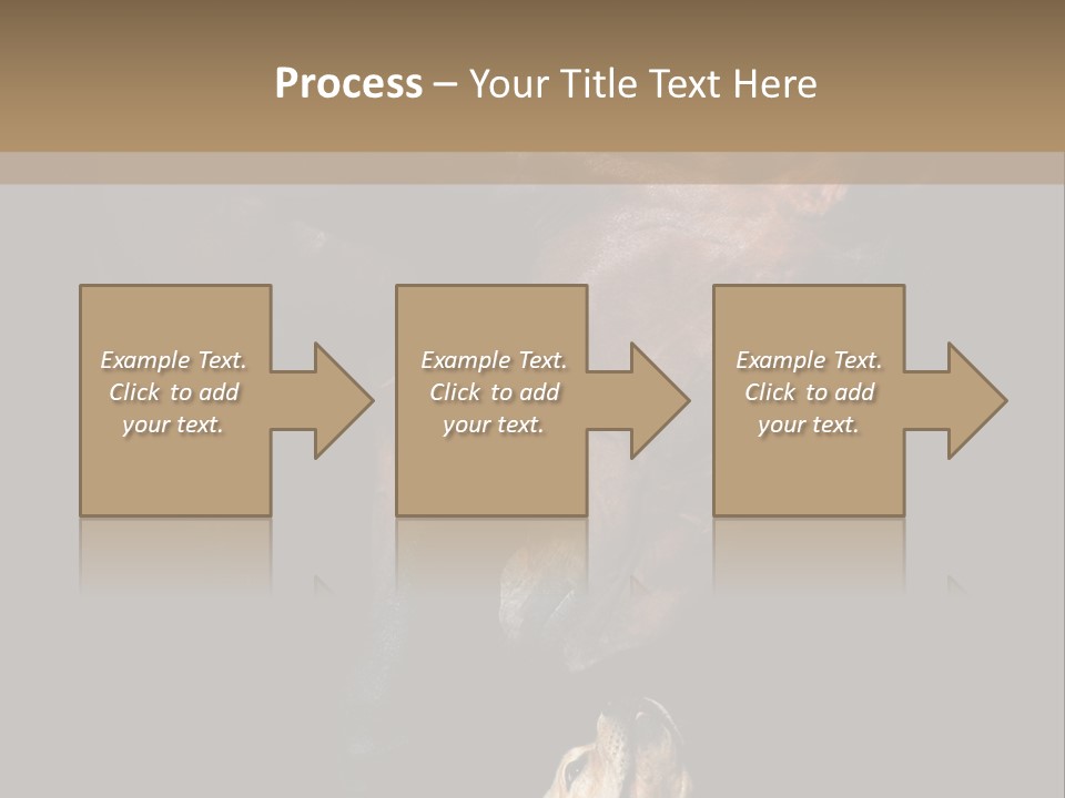 A Horse And A Dog Are In Front Of A Dark Background PowerPoint Template