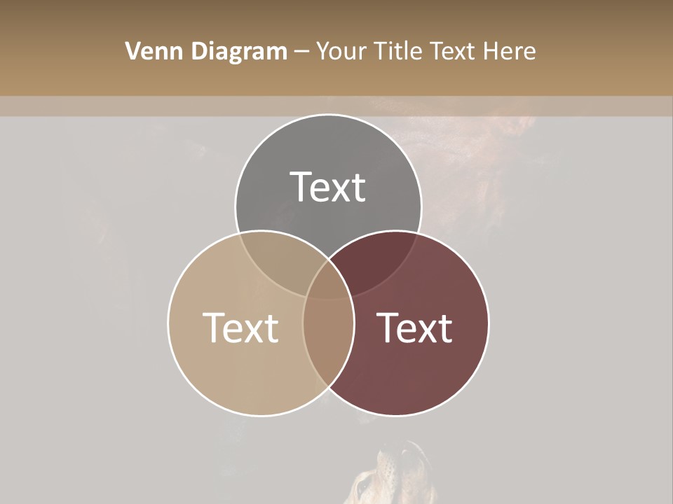 A Horse And A Dog Are In Front Of A Dark Background PowerPoint Template