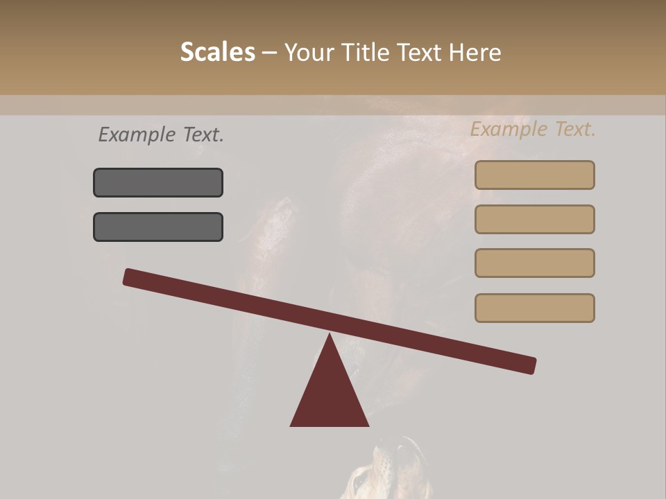 A Horse And A Dog Are In Front Of A Dark Background PowerPoint Template