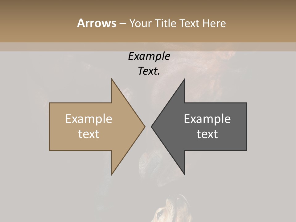 A Horse And A Dog Are In Front Of A Dark Background PowerPoint Template