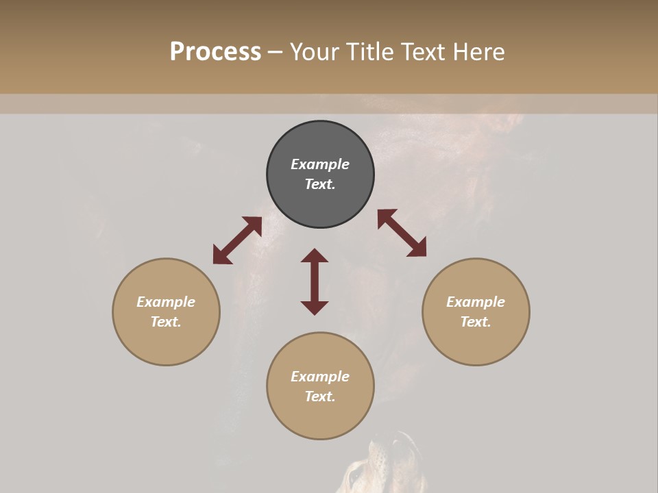 A Horse And A Dog Are In Front Of A Dark Background PowerPoint Template