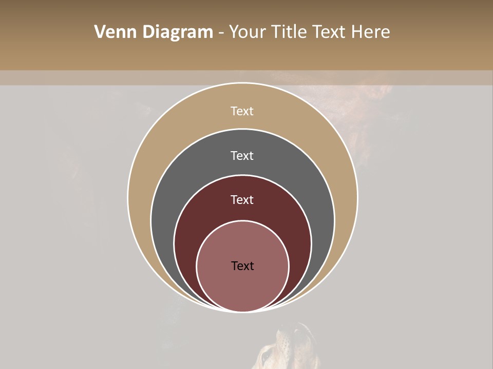 A Horse And A Dog Are In Front Of A Dark Background PowerPoint Template