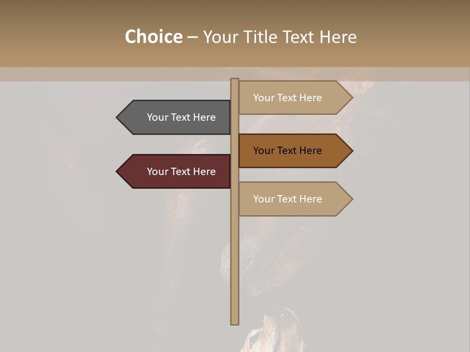 A Horse And A Dog Are In Front Of A Dark Background PowerPoint Template