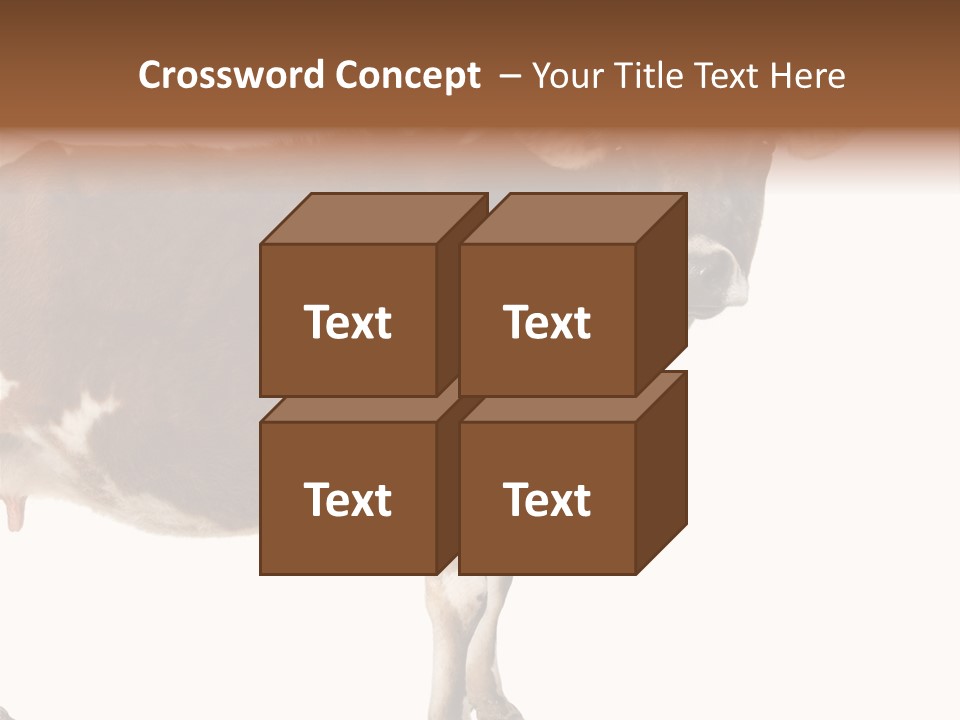 Brown Jersey Cow (10 Years Old) In Front Of A White Background PowerPoint Template