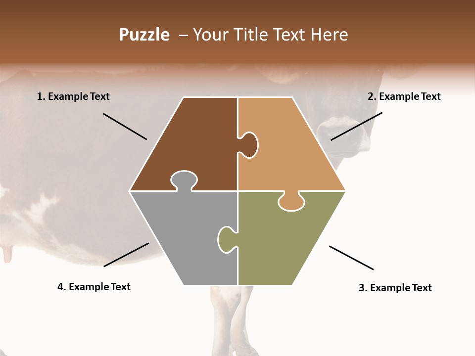 Brown Jersey Cow (10 Years Old) In Front Of A White Background PowerPoint Template