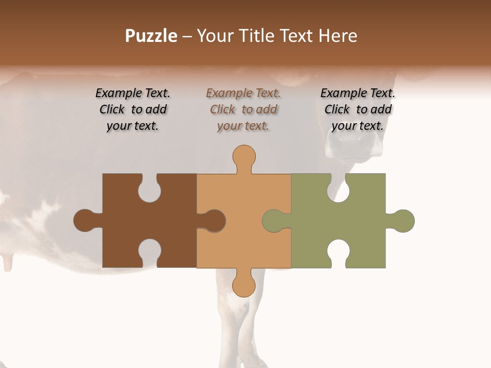 Brown Jersey Cow (10 Years Old) In Front Of A White Background PowerPoint Template