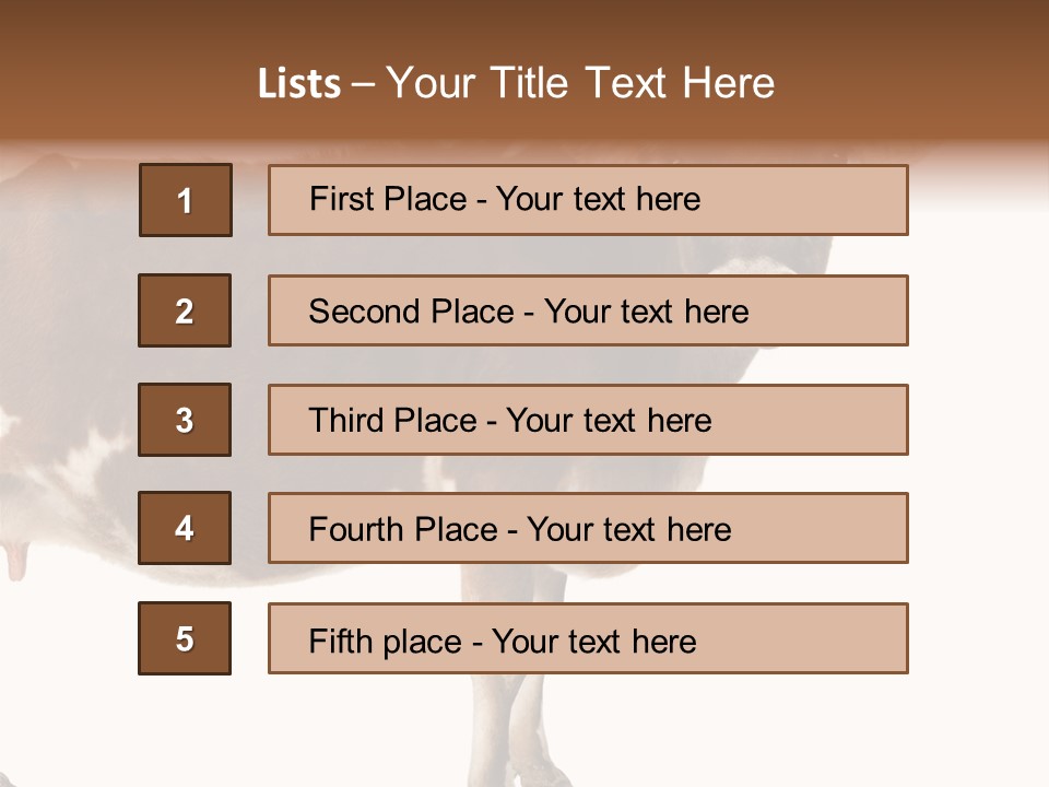 Brown Jersey Cow (10 Years Old) In Front Of A White Background PowerPoint Template