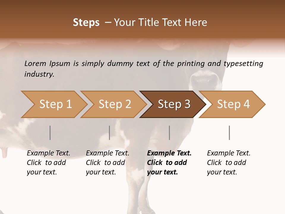 Brown Jersey Cow (10 Years Old) In Front Of A White Background PowerPoint Template