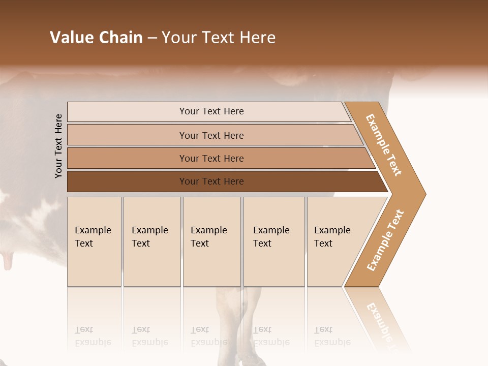 Brown Jersey Cow (10 Years Old) In Front Of A White Background PowerPoint Template