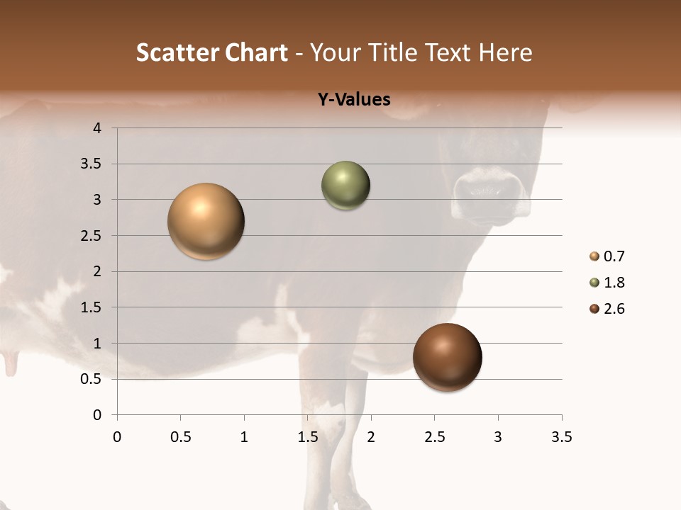 Brown Jersey Cow (10 Years Old) In Front Of A White Background PowerPoint Template