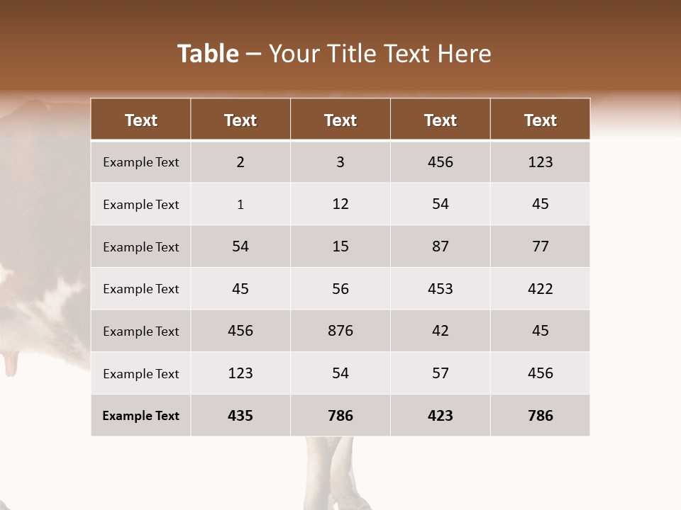 Brown Jersey Cow (10 Years Old) In Front Of A White Background PowerPoint Template