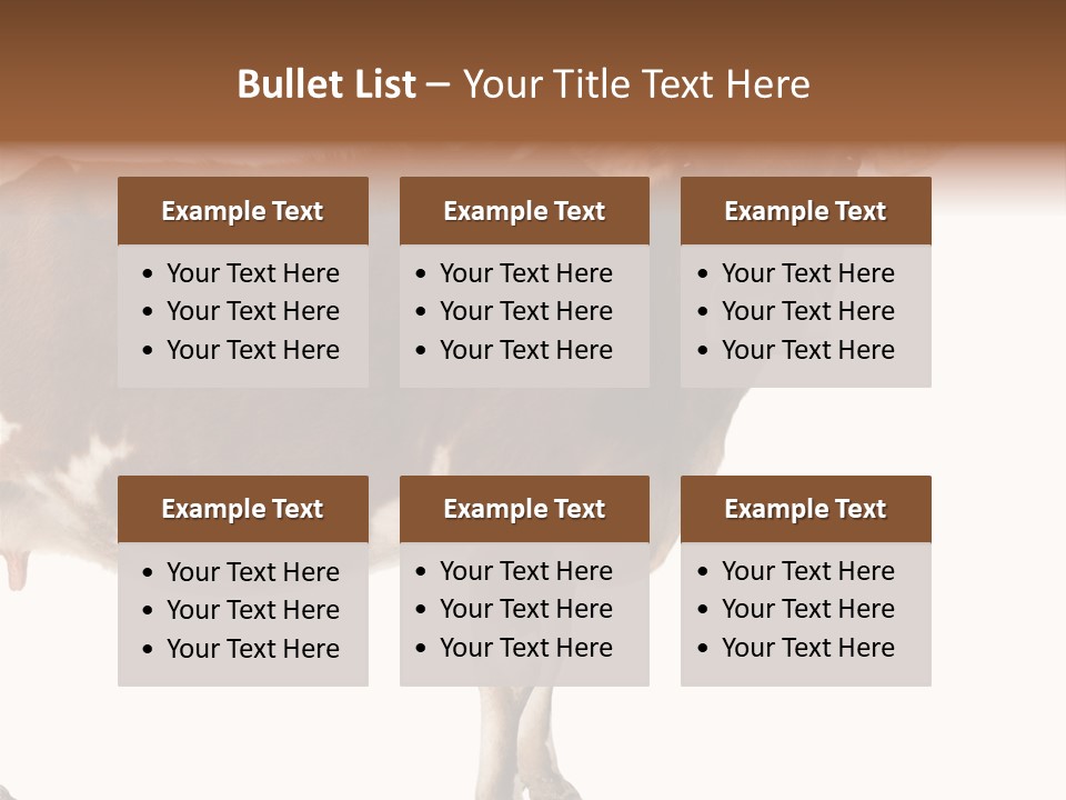 Brown Jersey Cow (10 Years Old) In Front Of A White Background PowerPoint Template