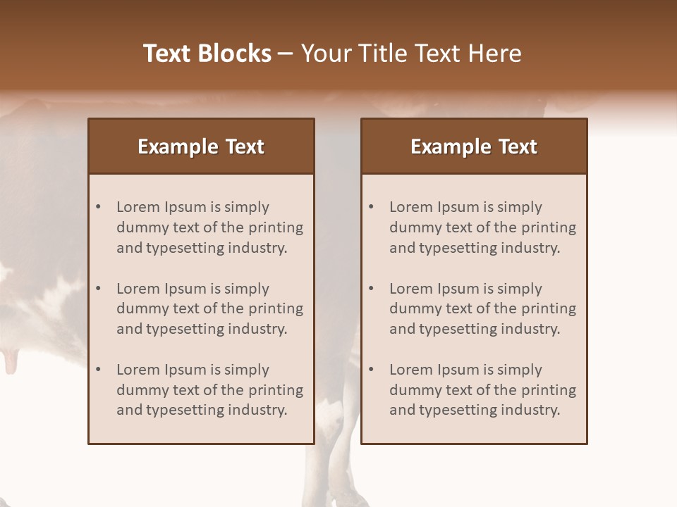 Brown Jersey Cow (10 Years Old) In Front Of A White Background PowerPoint Template
