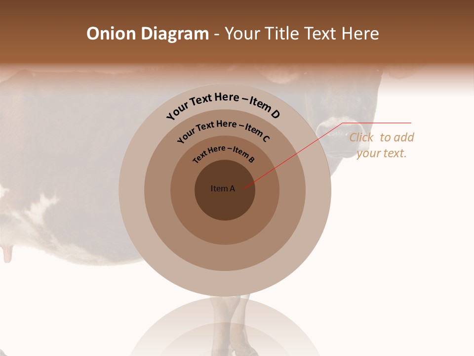 Brown Jersey Cow (10 Years Old) In Front Of A White Background PowerPoint Template