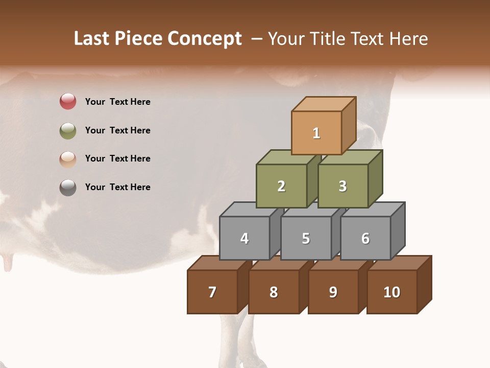 Brown Jersey Cow (10 Years Old) In Front Of A White Background PowerPoint Template