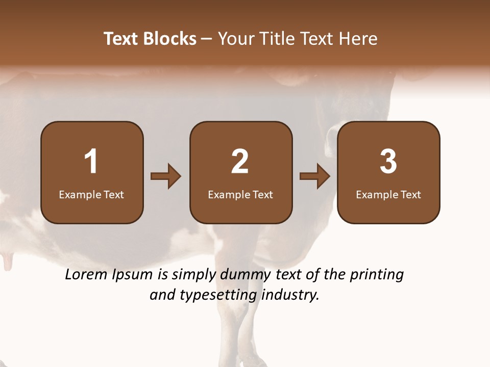 Brown Jersey Cow (10 Years Old) In Front Of A White Background PowerPoint Template