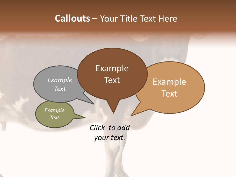 Brown Jersey Cow (10 Years Old) In Front Of A White Background PowerPoint Template