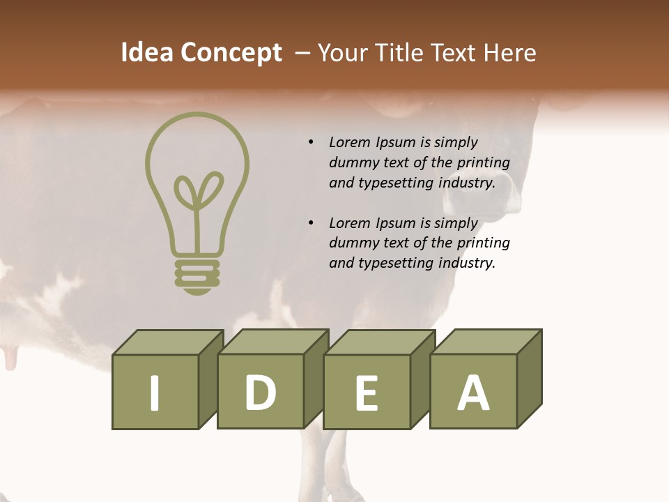 Brown Jersey Cow (10 Years Old) In Front Of A White Background PowerPoint Template